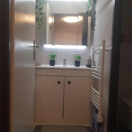 Appt Cosy Entier Avec Piscine Appartamento Tolosa