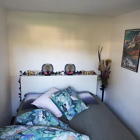 Appt Cosy Entier Avec Piscine Lägenhet Toulouse