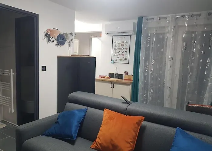 Appartement Appt Cosy Entier Avec Piscine Toulouse