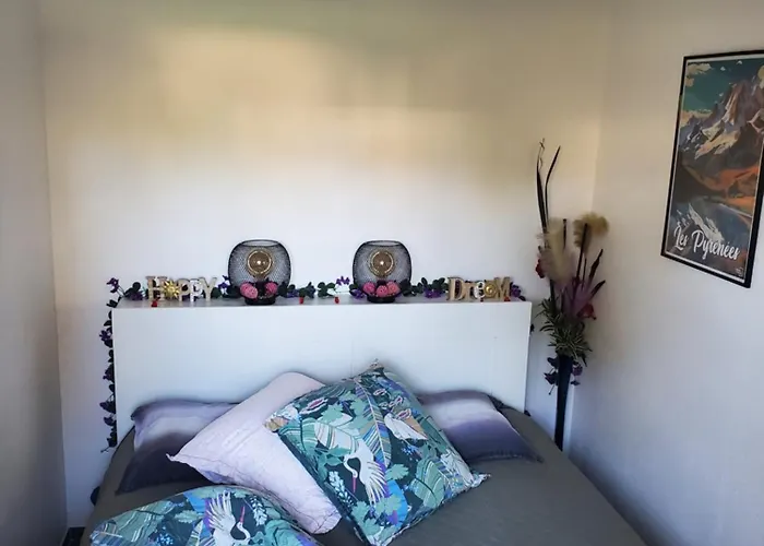 Appt Cosy Entier Avec Piscine Appartement Toulouse